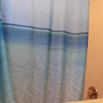 Hot cam girl jameswebbscope