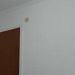 Live fun with hottwolovers777