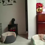 I’m wet now jaycat73