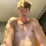 Nude zebrasandgazelles