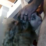 So Horny hotmesscouple896308